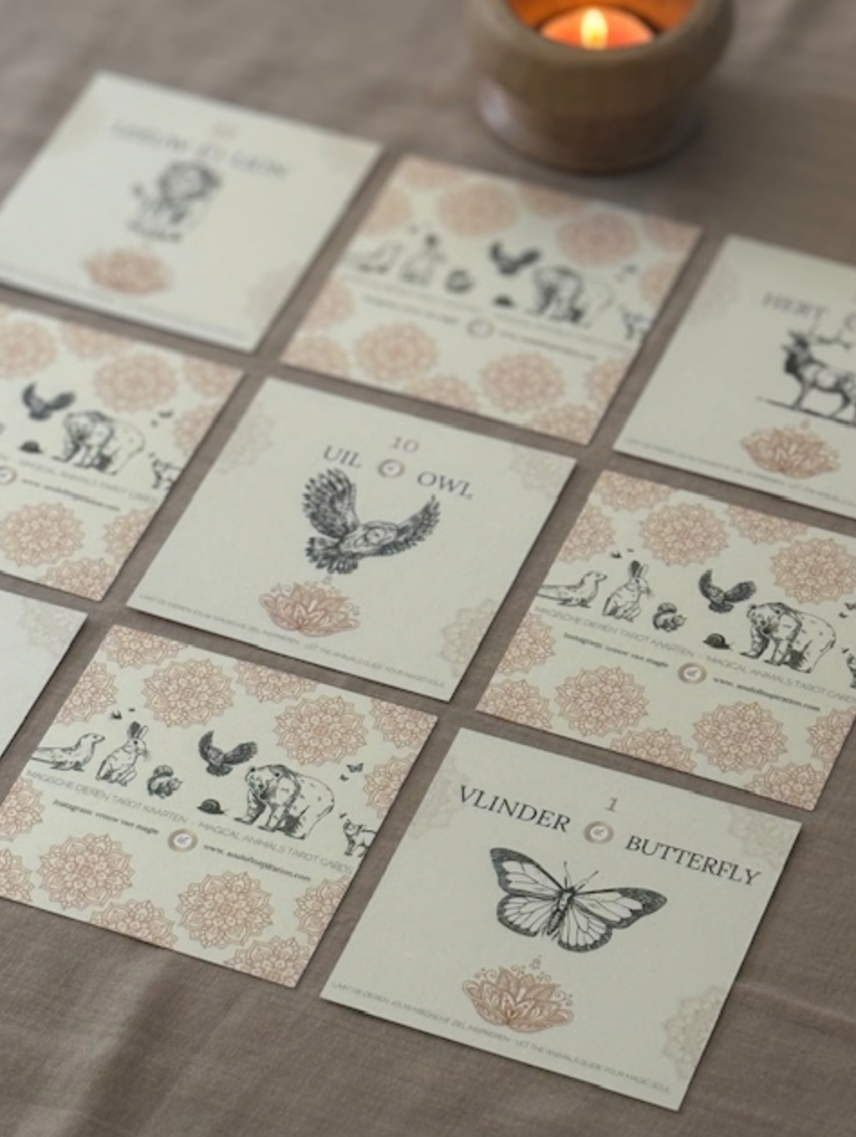Dieren tarot kaartenset