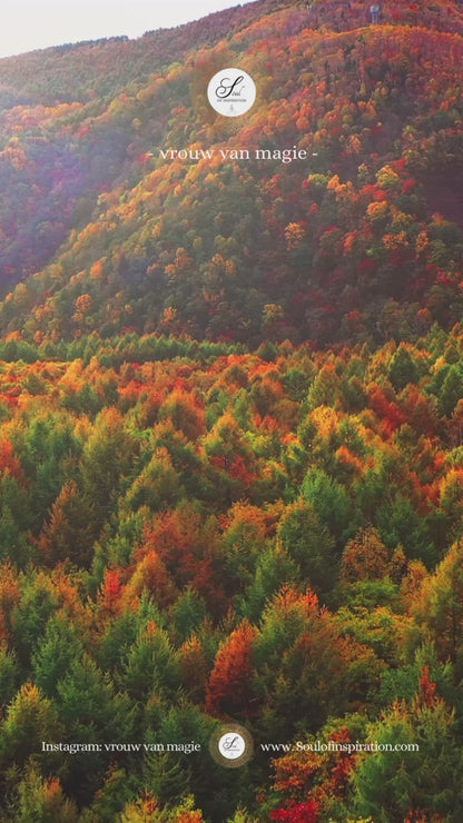 Exclusieve Podcast cursus - 3. Je gave ontdekken en jouw creatiekracht versterken